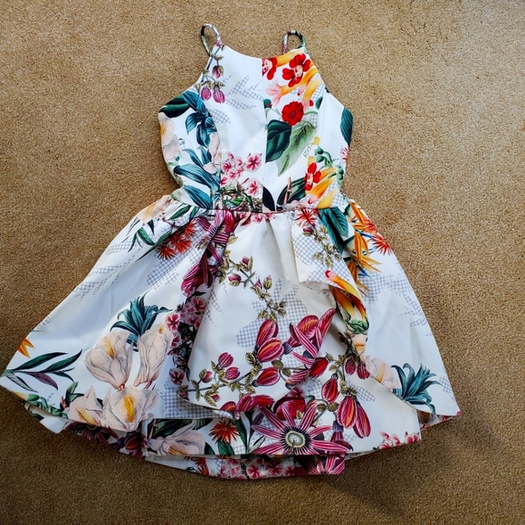 Anthropologie Cameo Atelier Botanic Dress XS - Picture 1 of 4